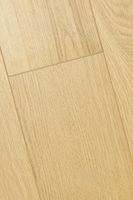 Ламинат FirstFloor Дуб Юникум 1F420 — фото 8, Ламинат