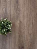 SPC ламинат Icon Floor Дуб Колумб AQ-11 — фото 9, SPC ламинат