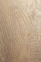 Товар: Ламинат Haro Дуб Сицилия Натур - фото 5 Ламинат Haro Дуб Сицилия Натур — фото 5, Ламинат