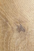 SPC ламинат Betta Корсика A819 — фото 4, SPC ламинат