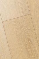 Ламинат FirstFloor Дуб Ойкос 1F412 — фото 8, Ламинат