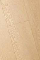 Ламинат FirstFloor Дуб Пактум 1F320 — фото 5, Ламинат