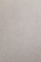 Товар: Виниловый ламинат FineFloor Гаасбек FF-1480 - фото 3 Виниловый ламинат FineFloor Гаасбек FF-1480 — фото 3, Виниловый ламинат