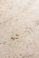 Товар: Пробковое покрытие CorkStyle P999 Creme - фото 6 Пробковое покрытие CorkStyle P999 Creme — фото 6, Пробковые покрытия