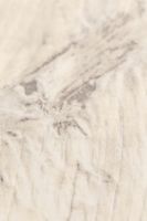 Ламинат Kronotex Exquisit Plus Дуб Гала белый 1380х244х8мм арт-D4787 — фото 2, Ламинат