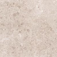 Керамогранит Grespania Artic Beige Nat арт-81RC-76 — фото 8, Керамогранит