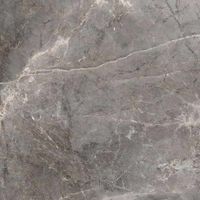 Керамогранит Bode EcoStone Siena Silver арт-BAST81490PA — фото 1, Керамогранит