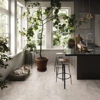 Керамогранит Edimax Astor Stream Silver арт-4C49 — фото 10, Керамогранит