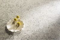 Керамогранит Fmg Neo Granito Multicolor Rosso Bocciardato арт-B62639 — фото 4, Керамогранит