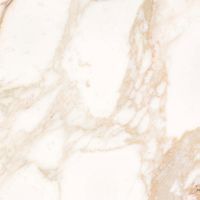 Товар: Керамогранит ProGRES Палацио Бежевый Матовый арт-NR0350 - фото 1 Керамогранит ProGRES Палацио Бежевый Матовый арт-NR0350 — фото 1, Керамогранит