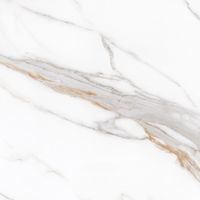 Керамогранит Protiles Bianco Carving арт-PT60J7058 — фото 1, Керамогранит