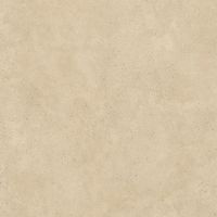 Керамогранит Alma ceramica Sharp Матовый арт-GFU6060SHP40R — фото 6, Керамогранит