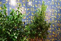 Товар: Керамогранит Sant Agostino Vita Mare Mix Mat арт-CSAMAMXM20 - фото 11 Керамогранит Sant Agostino Vita Mare Mix Mat арт-CSAMAMXM20 — фото 11, Керамогранит