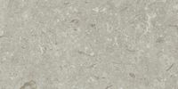 Товар: Керамогранит Grespania Fosil Gris Rec арт-46F262R - фото 9 Керамогранит Grespania Fosil Gris Rec арт-46F262R — фото 9, Керамогранит