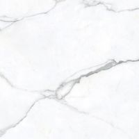 Керамогранит Zodiac Ceramica Statuario Oro Matt 6mm арт-MN022AY261206 — фото 1, Керамогранит