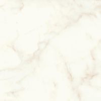 Товар: Керамогранит Atlas Concorde Italy Marvel Shine Calacatta Delicato Lappato арт-A3WX - фото 1 Керамогранит Atlas Concorde Italy Marvel Shine Calacatta Delicato Lappato арт-A3WX — фото 1, Керамогранит