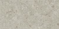 Товар: Керамогранит Grespania Fosil Gris Rec арт-46F262R - фото 3 Керамогранит Grespania Fosil Gris Rec арт-46F262R — фото 3, Керамогранит