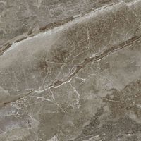 Керамогранит Absolut Gres Aquafina Natural Gloss арт-AB 1129G — фото 3, Керамогранит