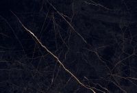 Керамогранит Flaviker PI.SA Supreme Evo Noir Laurent Lux Ret арт-0008712 — фото 1, Керамогранит