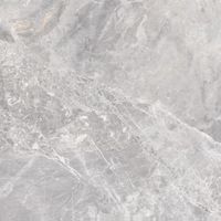 Керамогранит Cicogres 99x99 Deba Ret арт-CIC_DB99 — фото 1, Керамогранит