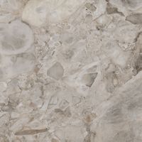 Керамогранит Cerdomus Iskra Ceppo di Gre Levigat арт-92259 — фото 8, Керамогранит