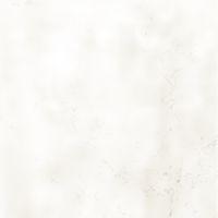 Товар: Керамогранит 41zero42 Superclassica SCW Honed арт-4101031 - фото 4 Керамогранит 41zero42 Superclassica SCW Honed арт-4101031 — фото 4, Керамогранит