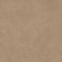 Керамогранит Atlas Concorde Italy Boost Natural Coral арт-A65R — фото 2, Керамогранит