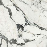 Товар: Керамогранит Rex Ceramiche (Florim) Les Bijoux de Rex Calacatta Altissimo Blanc Glossy Ret арт-766342 - фото 1 Керамогранит Rex Ceramiche (Florim) Les Bijoux de Rex Calacatta Altissimo Blanc Glossy Ret арт-766342 — фото 1, Керамогранит