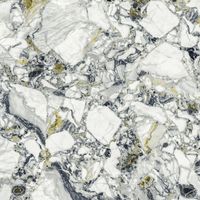 Керамогранит Atlas Concorde Russia Forte Dei Marmi Quark Ceppo Apuano Forest Lapp Ret арт-610015000703 — фото 4, Керамогранит