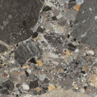 Керамогранит Ceradim Grappolo Multi матовый арт-CR6060G0451R — фото 1, Керамогранит