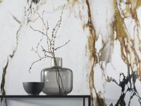 Товар: Керамогранит Xlight (Porcelanosa Grupo) Paonazzo Biondo Silk арт-100331160 - фото 6 Керамогранит Xlight (Porcelanosa Grupo) Paonazzo Biondo Silk арт-100331160 — фото 6, Керамогранит