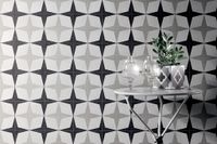 Керамогранит Ceramica Fioranese Cementine Black&White 2 арт-CBW20C2 — фото 14, Керамогранит