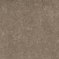 Керамогранит Гранитея Arkaim Коричневый Матовый 60 арт-G214MR — фото 1, Керамогранит