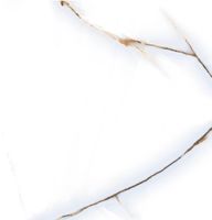 Товар: Керамогранит Pardis Ceramic Pazh Barcelon Polished арт-166295 - фото 9 Керамогранит Pardis Ceramic Pazh Barcelon Polished арт-166295 — фото 9, Керамогранит