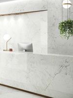 Товар: Керамогранит Fmg Maxfine Marmi Statuario Delicato Luc 6mm арт-L315484MF6 - фото 3 Керамогранит Fmg Maxfine Marmi Statuario Delicato Luc 6mm арт-L315484MF6 — фото 3, Керамогранит