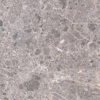 Керамогранит Grespania Artic Gris Nat арт-41RC130 — фото 1, Керамогранит