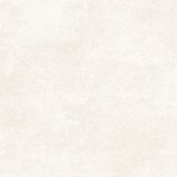 Товар: Керамогранит Alma ceramica Beton Pro Матовый арт-GFU6060BTP04R - фото 3 Керамогранит Alma ceramica Beton Pro Матовый арт-GFU6060BTP04R — фото 3, Керамогранит