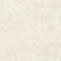 Керамогранит Grespania Fosil Bone Rec арт-81F236R — фото 6, Керамогранит