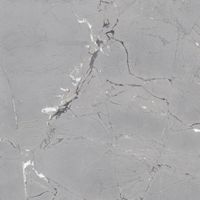 Керамогранит Museum Sublime Thunder SP/R 8mm арт-41883 — фото 1, Керамогранит