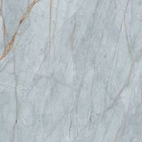 Керамогранит Grespania Blue Roma Cielo арт-36B130R — фото 6, Керамогранит