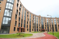 Керамогранит Idalgo Граните Вуд Классик софт Светло Бежевый Lapp Rett 60 арт-ID9022B048LMR — фото 6, Керамогранит