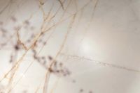 Товар: Керамогранит Flaviker PI.SA Supreme Hedonism Calacatta Dante Nat Ret арт-0017513 - фото 15 Керамогранит Flaviker PI.SA Supreme Hedonism Calacatta Dante Nat Ret арт-0017513 — фото 15, Керамогранит