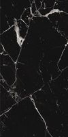Керамогранит Protiles Marble Noir Pol арт-PT12S982 — фото 1, Керамогранит