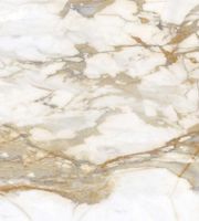 Керамогранит Zodiac Ceramica Calacatta Gold Matt 120 арт-MN034AY261206 (120х120) — фото 1, Керамогранит