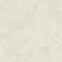 Керамогранит Atlas Concorde Italy Marvel X Calacatta Perla Silk арт-AFVL — фото 1, Керамогранит