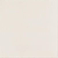 Напольная плитка Casalgrande Padana Unicolore Technic Levigato Bianco B арт-807004 — фото 1, Напольная плитка