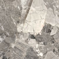 Товар: Керамогранит ProGRES Pride Grey Матовый арт-NR0387 - фото 3 Керамогранит ProGRES Pride Grey Матовый арт-NR0387 — фото 3, Керамогранит