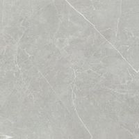 Керамогранит NT Ceramic Pietra арт-PT6NTT1101P — фото 1, Керамогранит