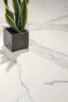 Керамогранит Ariostea Marmi Classici Patagonia Top Lapped 8mm арт-PLP6691 — фото 10, Керамогранит