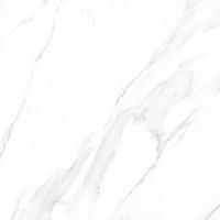 Керамогранит Alma ceramica Nevada Лаппатированный арт-GFU6060NVD07L — фото 5, Керамогранит